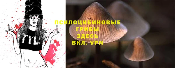 стафф Горно-Алтайск