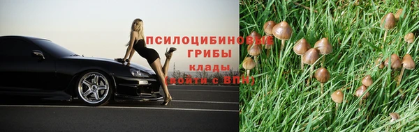 стафф Горно-Алтайск