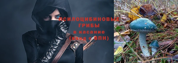 стафф Горно-Алтайск
