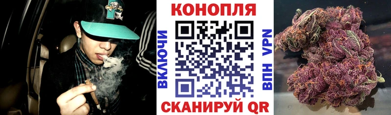 купить наркотики цена  Керчь  Шишки марихуана тримм 